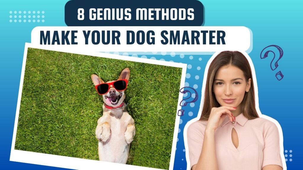 make your dog smarter