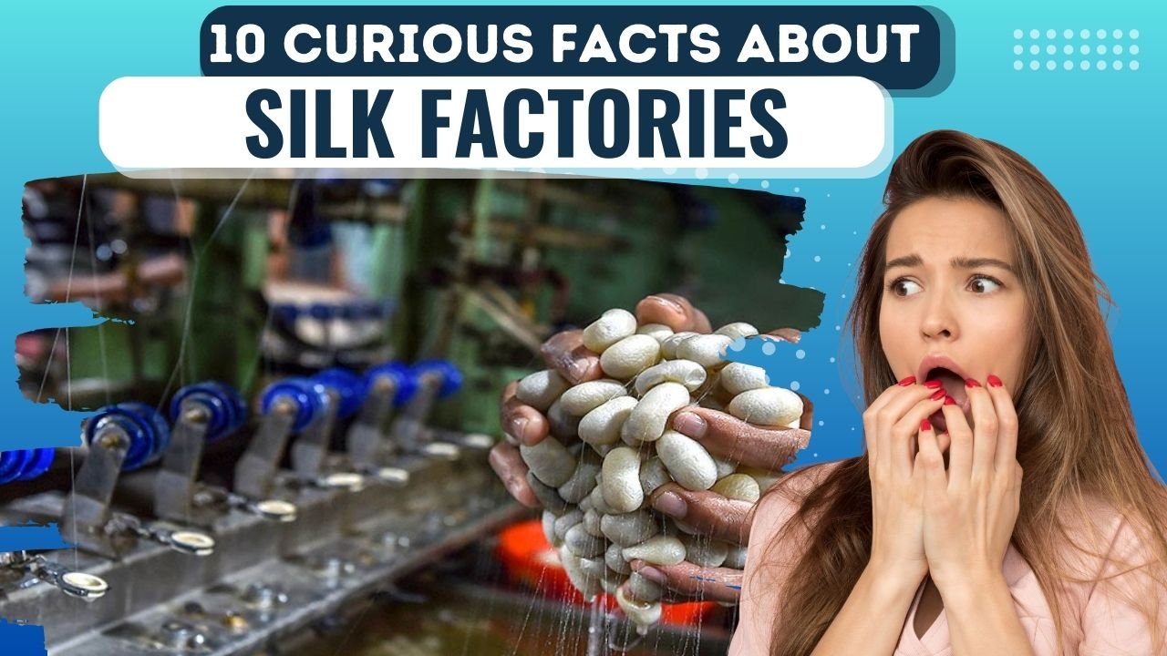 Silk Factories