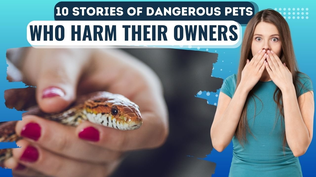 10 Stories of Dangerous Pets Who Harm Their Owners