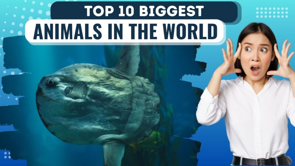 Top 10 Biggest Animals in the World