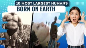 largest humans
